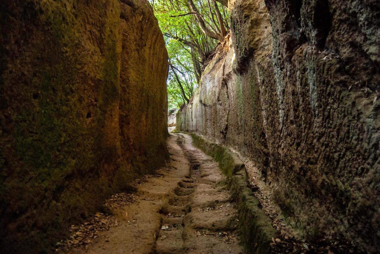 ソラーノ La Toscana In Casaヴィラ エクステリア 写真